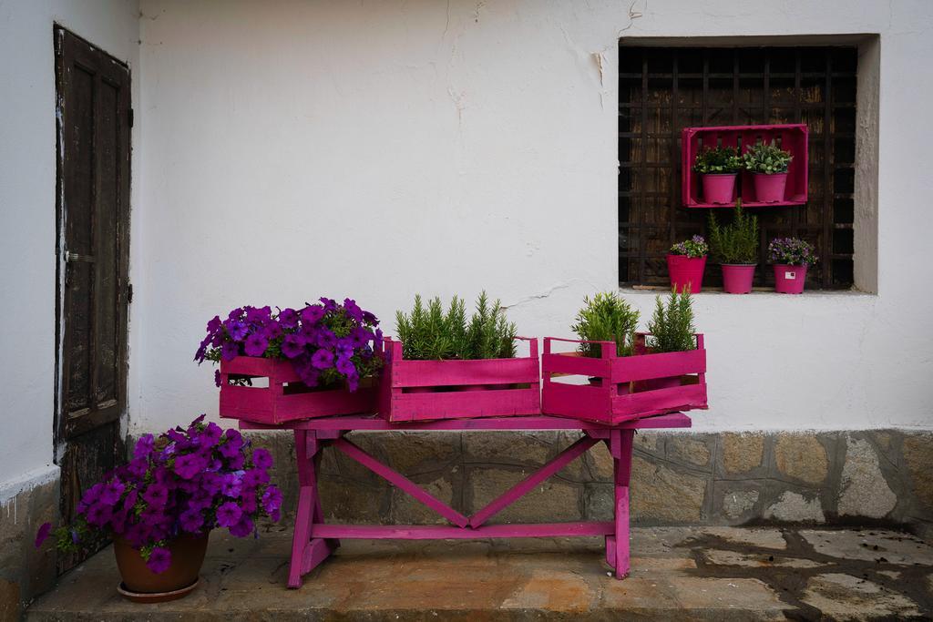 Agriturismo Cascina del Vai Cairo Montenotte Exterior foto